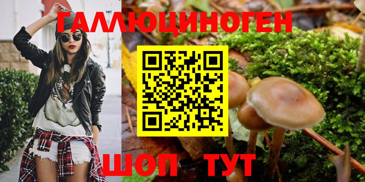 Галлюциногенные грибы Psilocybe Ревда